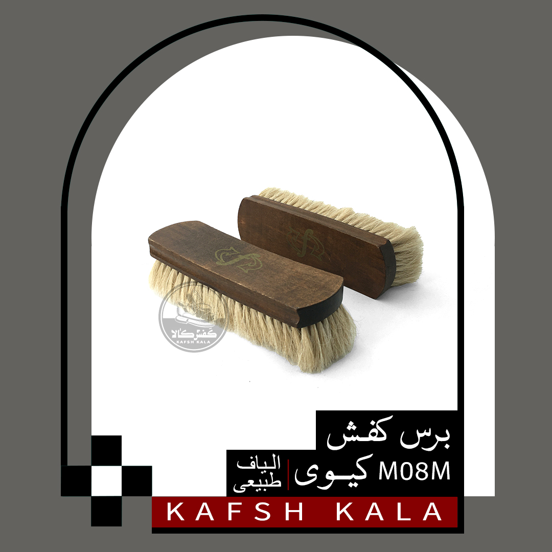 برس کفش M08Mکیوی